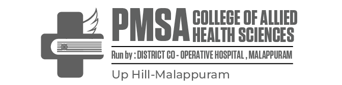logo website-14